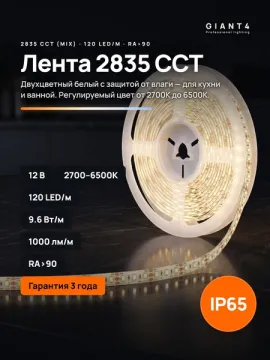 Двухцветная светодиодная лента MIX (CCT) LUX 2835 9,6w 120 led 12v / 24v