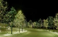 Уличная светодиодная гирлянда 220v на дерево, дом и елку 100 метров 665 LED